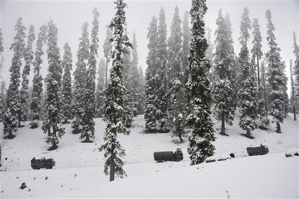 Avalanche warning issued for higher reaches in J&K