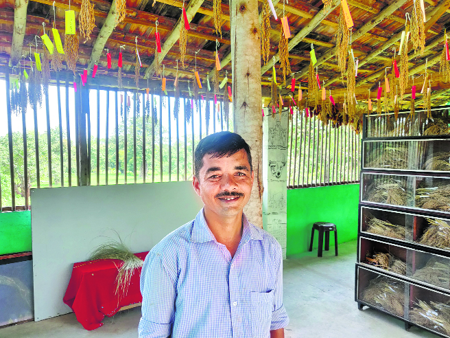 Two Karnataka farmers are rice conservators