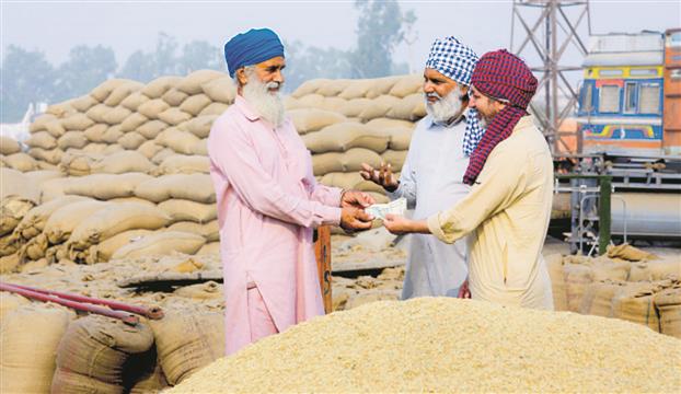 Collective push can help farmers hold firm