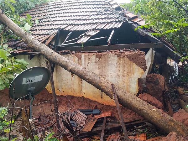 Cyclone Nivar impact: Heavy rains batter Pondy, trees uprooted