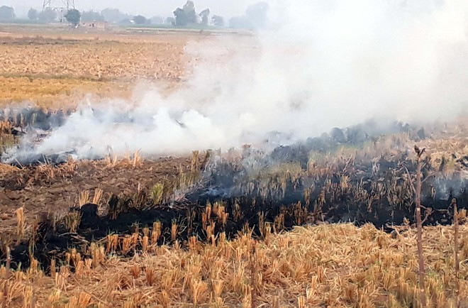 Farm fires continue unabated
