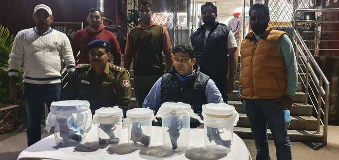 Weapons seized from Kaimbwala forest area
