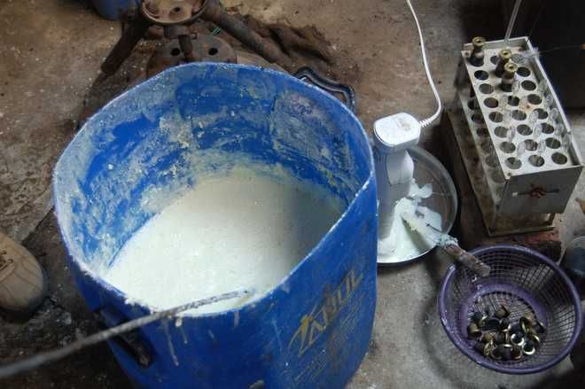 Patiala dairy put on notice over hygiene