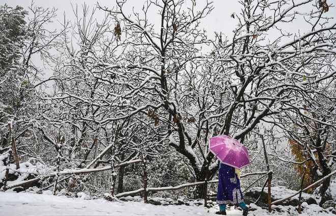 Avalanche warning for 12 J&K  districts
