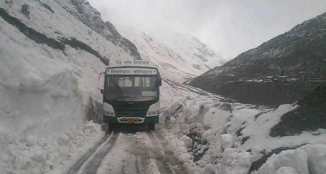 HRTC to resume bus service to Atal Tunnel on Monday