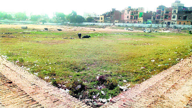 Of 77 water bodies in Faridabad, only 25 can be restored: NGT told