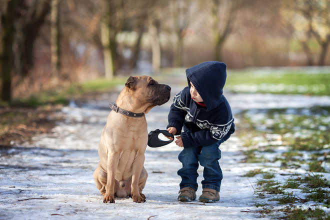 As story of UP homeless boy, his dog goes viral, offers to adopt them pour in