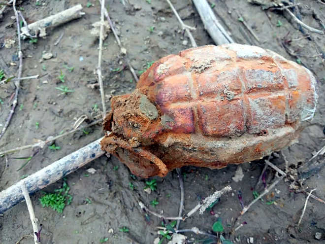 11 grenades dropped by Pakistan drone recovered near IB in Punjab's Gurdaspur