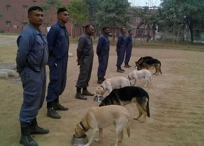 Tracker dogs pressed into service at Indo-Nepal border to check illegal crossovers from Nepal