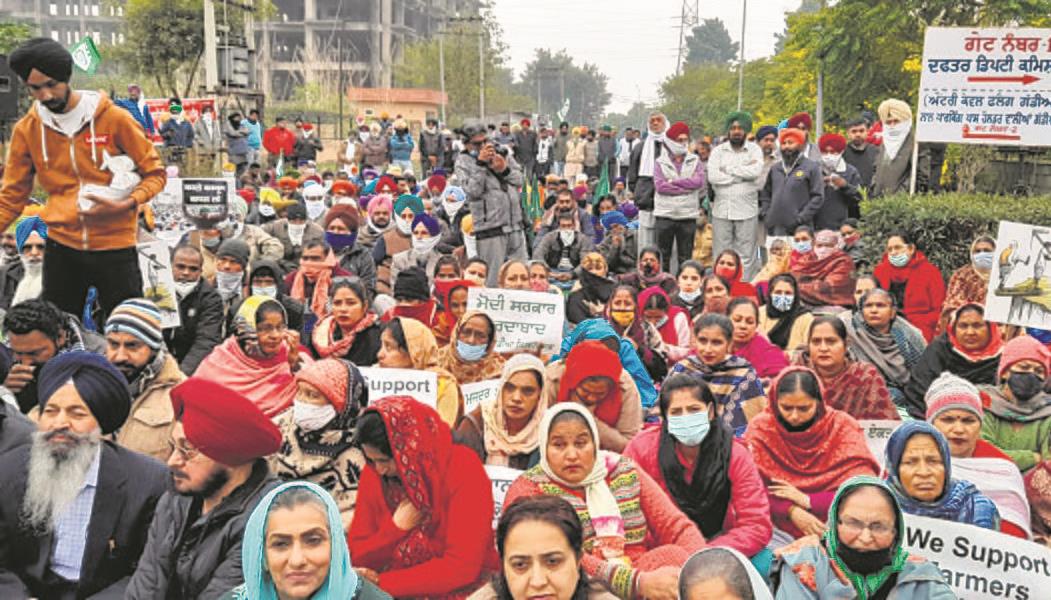 Organisations extend support in Mohali district