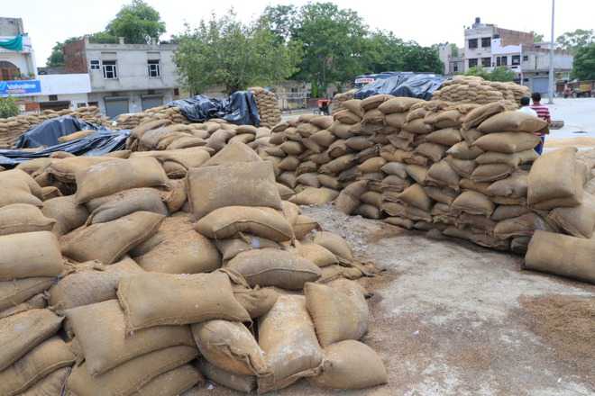 Wheat worth Rs 600 cr allowed to rot: CAG