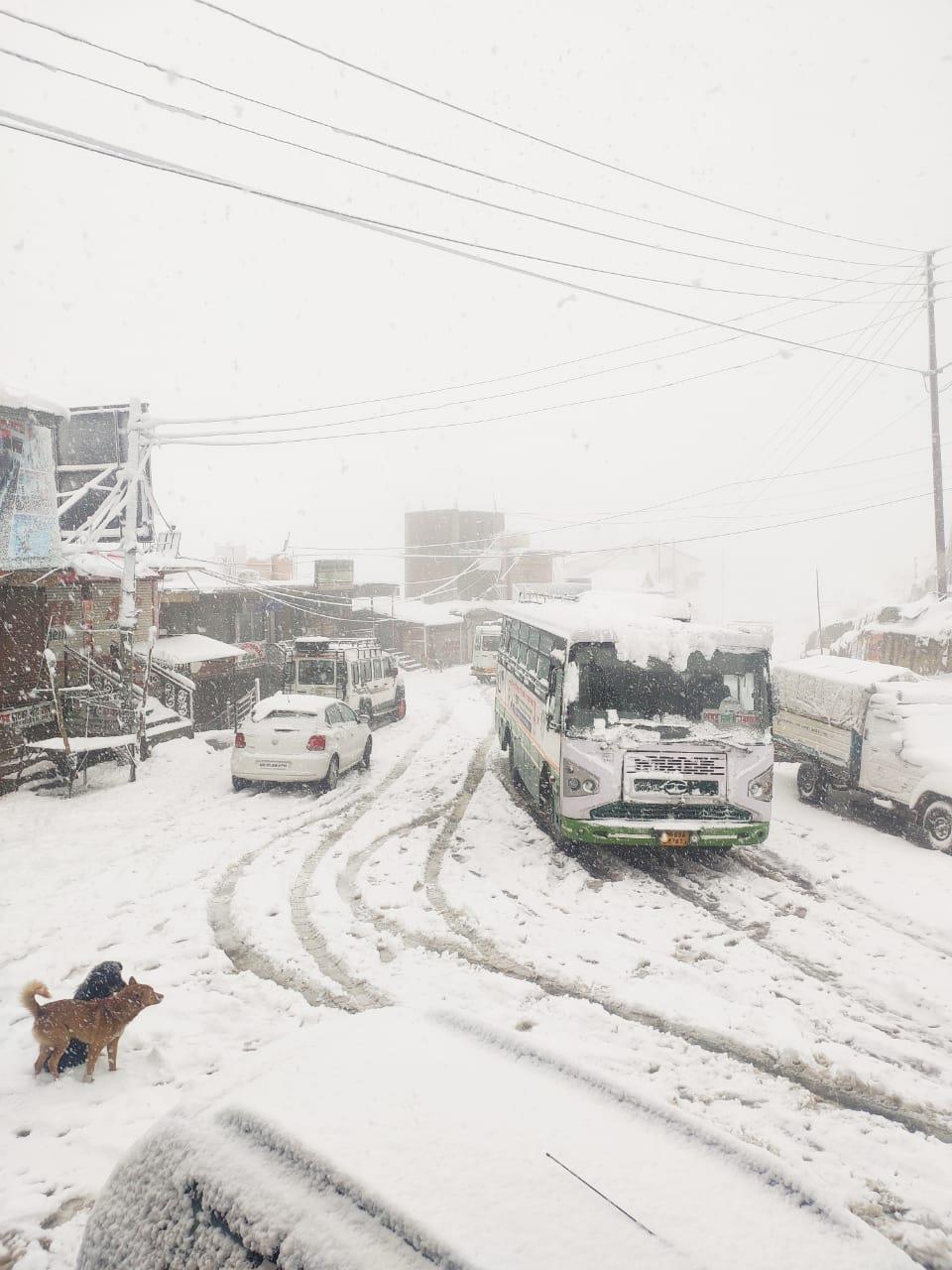 Shimla, Kufri receive fresh spell of snow
