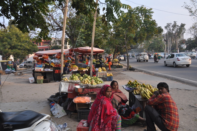 Street vendors sit pretty on Mohali roads, residents hit : The Tribune ...