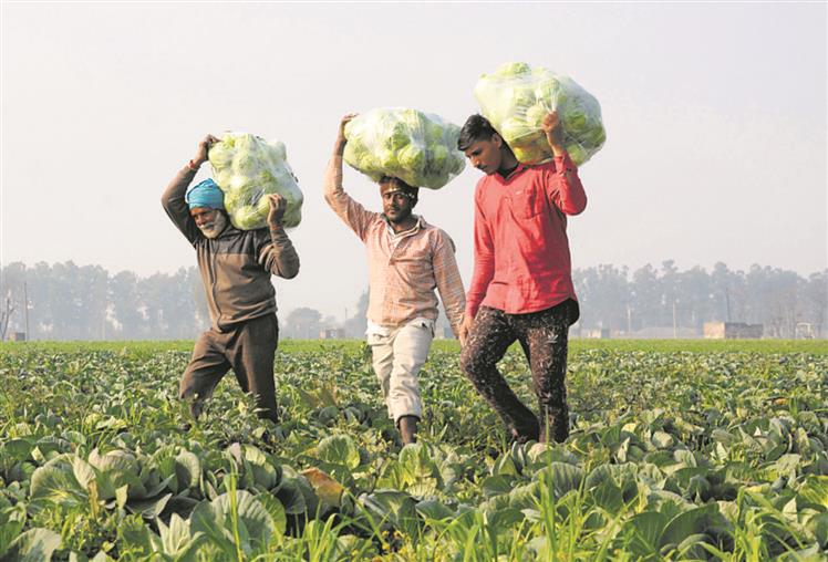 16-pt plan for agri sector