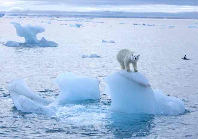 Arctic ice melt disrupting ocean current, may alter Europe’s climate