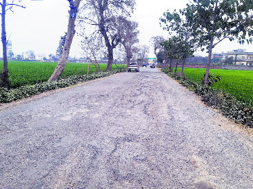 Driving on potholed Chheharta-Chabal road a nightmare
