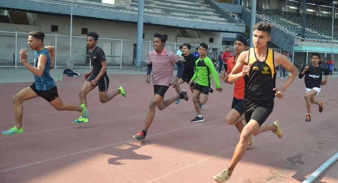 442 players attend trials in 15 sports disciplines