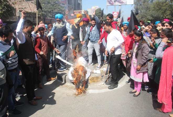 Punjab ministerial staff burn govt’s effigy