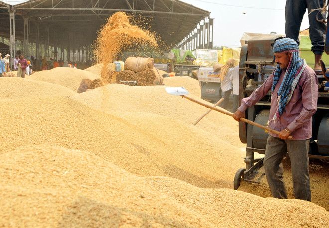 Paddy scam: 450 mills don’t reply to notices
