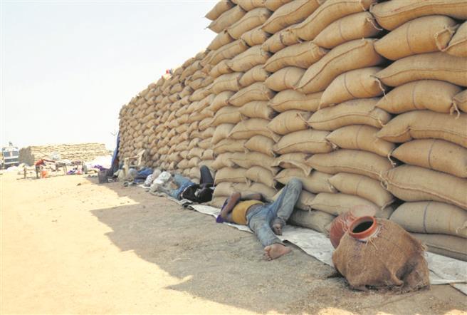 Notice for less than 1% paddy shortage unfair, say millers