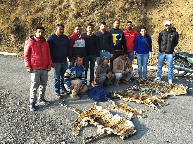 3 held with leopard hides in Nahan