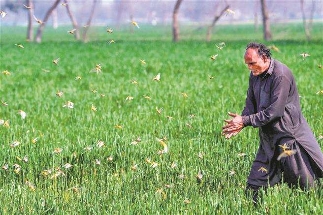 Asian nations should join hands for rural revival