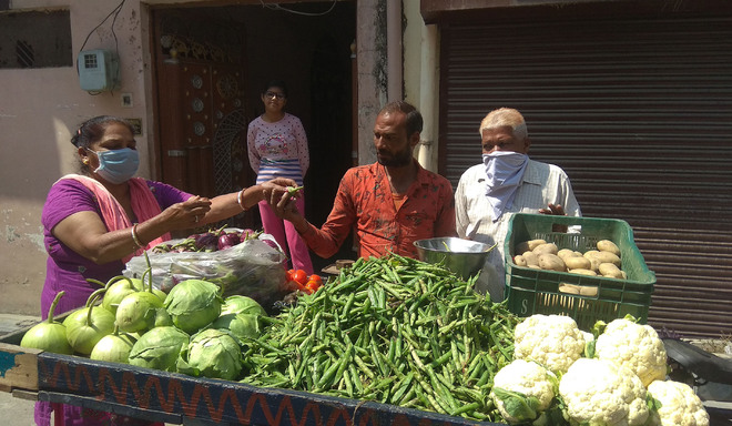 Veggie, fruit prices fixed in Jalandhar, Kapurthala