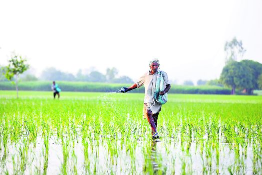 Haryana sets sights on doubling farmers’ income