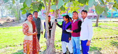 Reviving interest in botany is this govt school’s mission