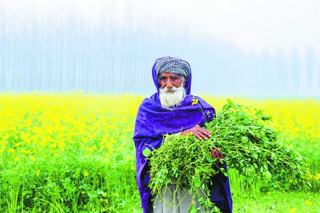 Punjab Budget: No new schemes for crisis-ridden agriculture sector
