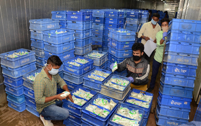 Amid curfew, 1.25L litres of milk distributed in city, says Milkfed