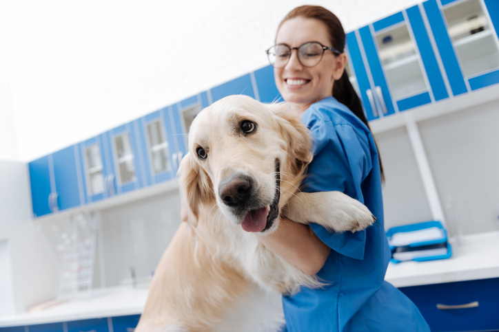 Therapy dogs may help lower stress in doctors, nurses in emergency wards: Study