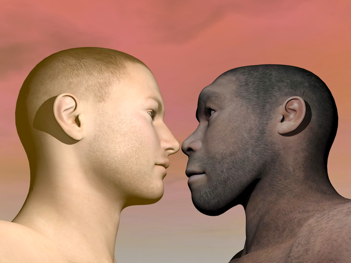 Human Ancestor Homo Erectus Older Than Previously Thought