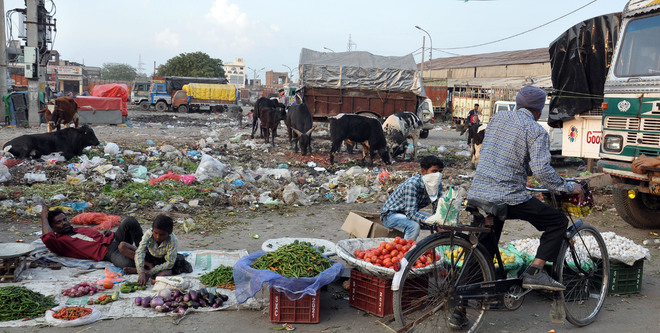 Vallah fruit market to shut from today