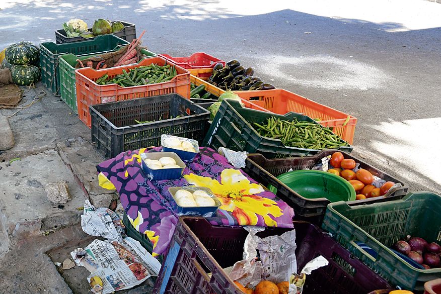 Veggie, fruit prices should not exceed fixed rate: Mohali DC