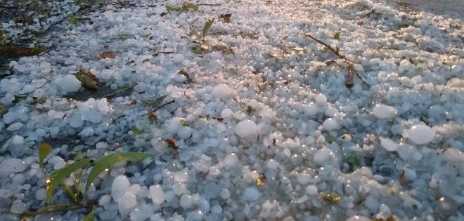 Hailstorm hits mango, veggie crops in Nurpur