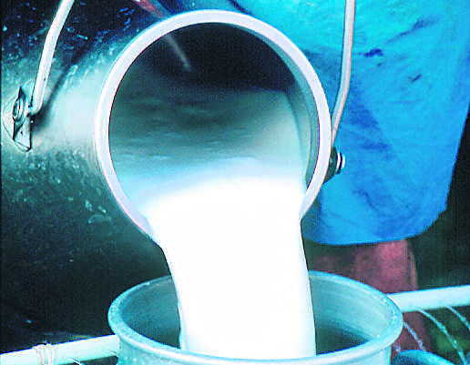 Milk producers suffer losses as procurement prices dip