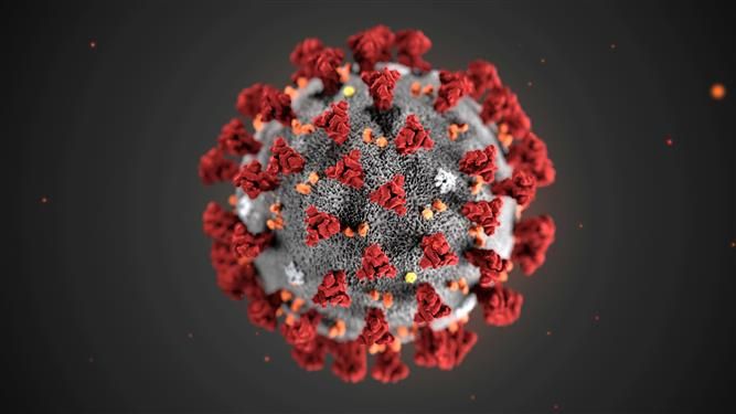 Virus may cause biggest emissions drop since WWII