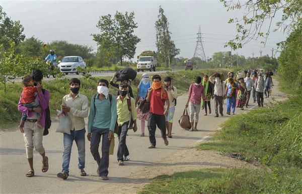 Jobless in Ludhiana, migrants set off for home over 1,000 km away