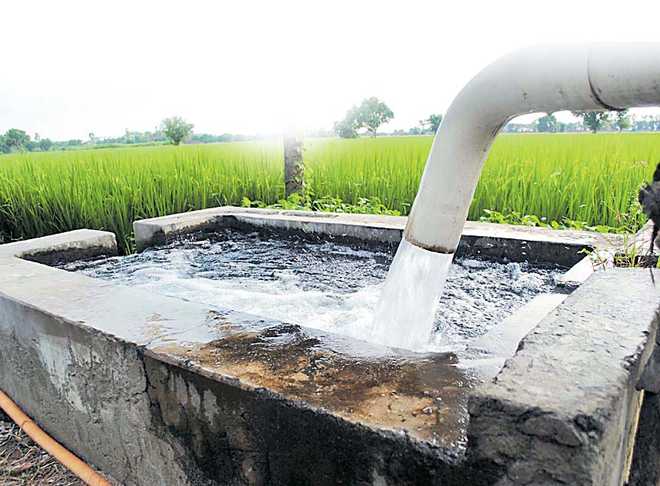 Illegal extraction of groundwater a criminal offence: NGT