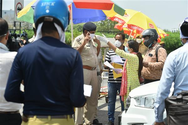 25 fresh COVID-19 cases reported in Haryana, tally rises to 818