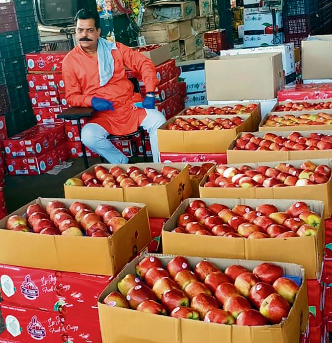 At subsidised rates, fruit dealers expecting hike in sales