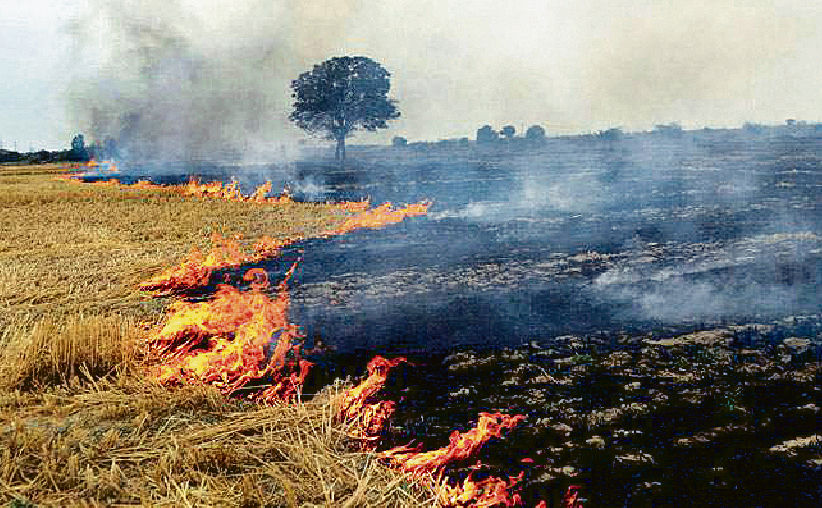 84 incidents, wheat growers continue to burn stubble