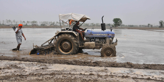 Will raise loan, won’t let farmers suffer: CM Capt Amarinder Singh