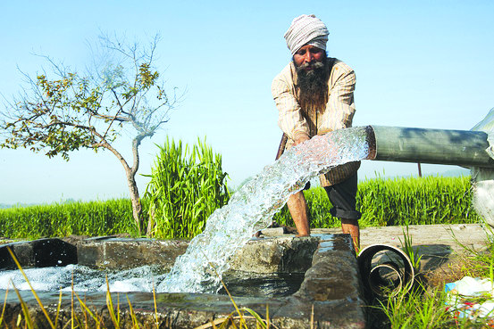 Paddy Cultivation, Punjab, Haryana, Farmers in India, 