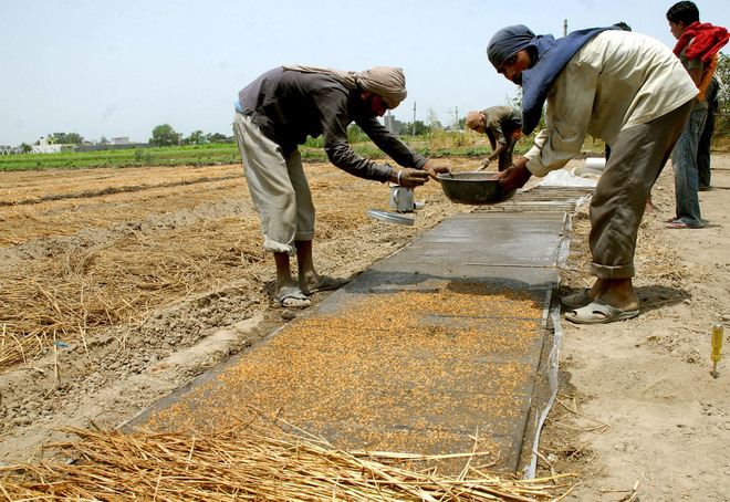Prices of direct paddy seeders go up