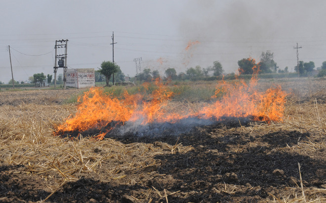 Air quality dips again, straw burning, industry to blame