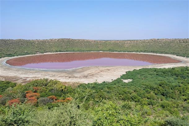 Team of scientists to examine why Maharashtra's Lonar lake has turned pink