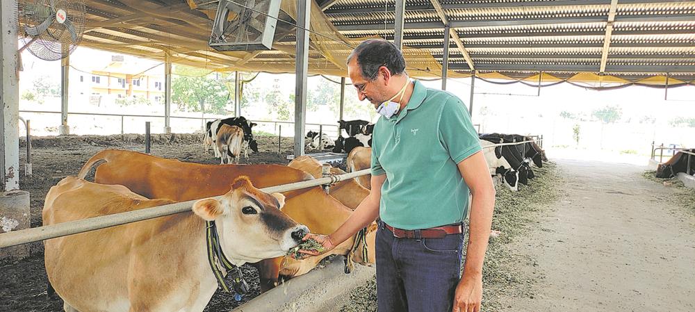 indian dairy farming industry