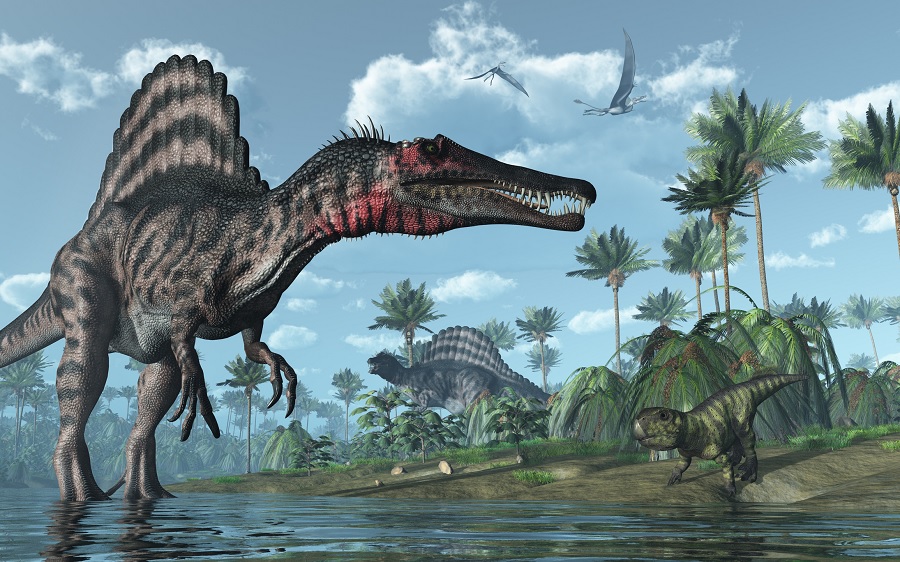 Huge African dinosaur Spinosaurus thrived in the water